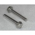 hexagon flange bolt with serrated